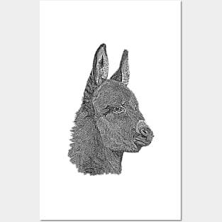 Cute donkey pencil drawing monochrome realist art Posters and Art